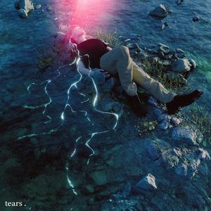 一级成a爱看片免费观看窝窝影院
