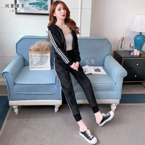 一级成a爱看片免费观看窝窝影院
