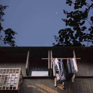 一级成a爱看片免费观看窝窝影院
