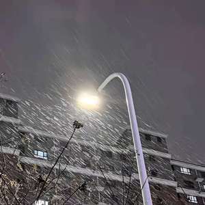 一级成a爱看片免费观看窝窝影院
