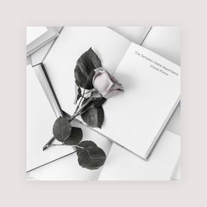 一级成a爱看片免费观看窝窝影院
